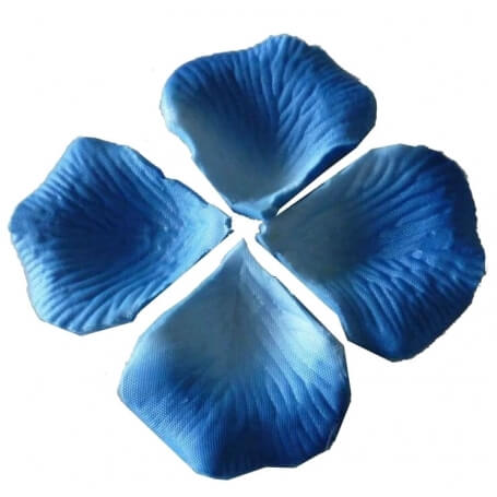 Petali di nozze blu