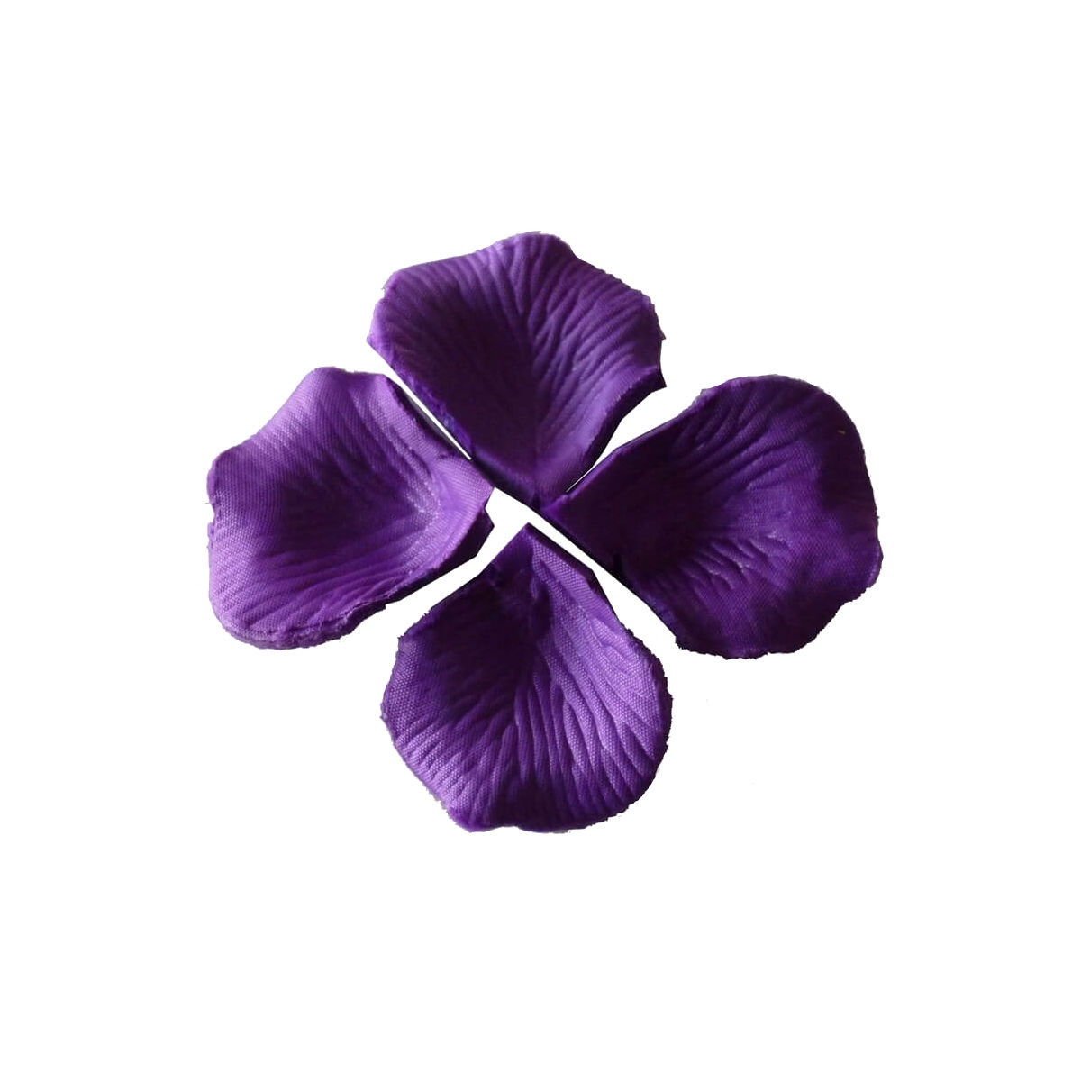 Petali color lilla scuro