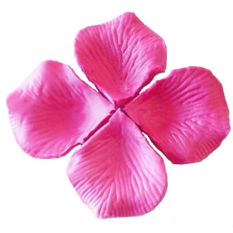 Petali Magenta