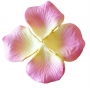 Petali color rosa chiaro