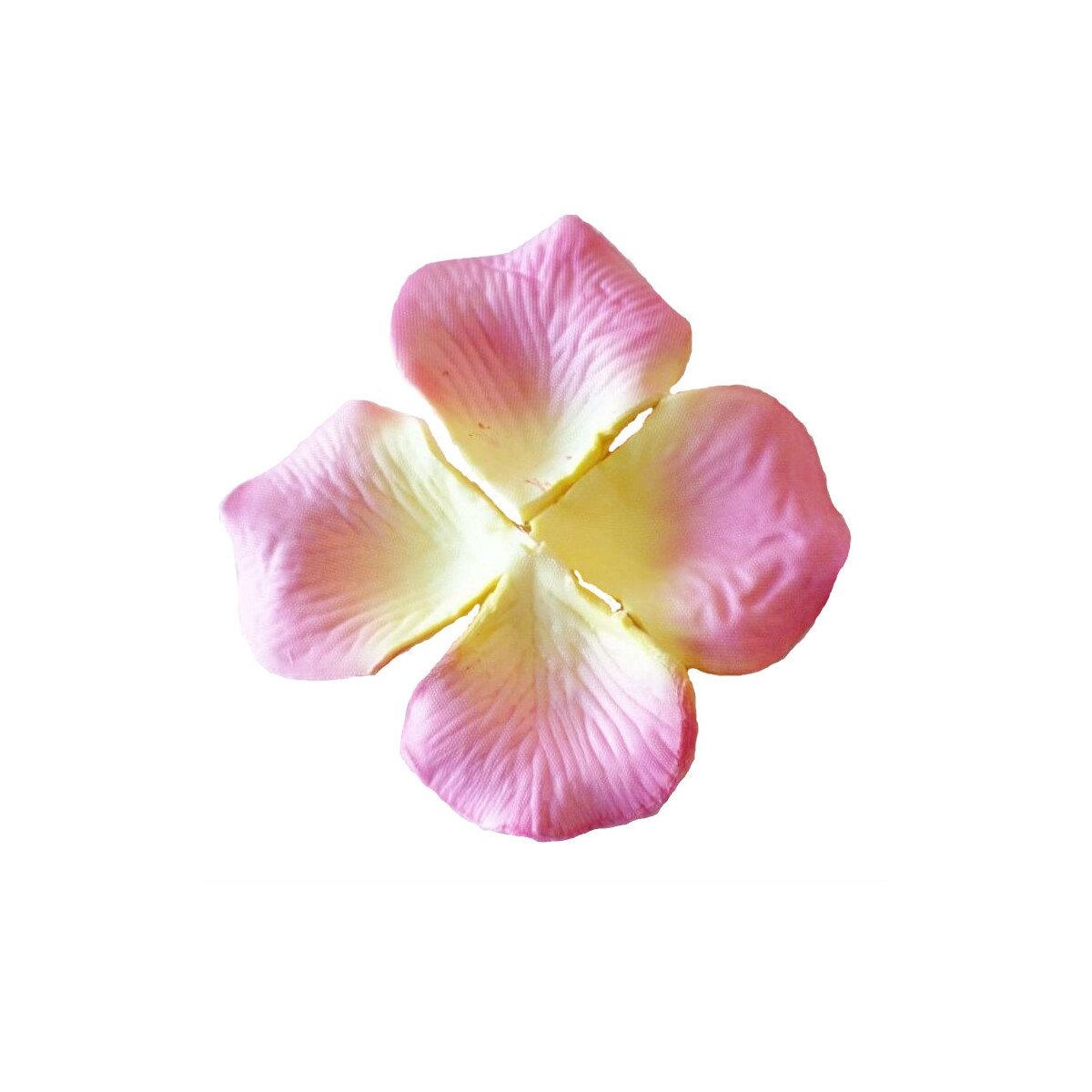 Petali color rosa chiaro