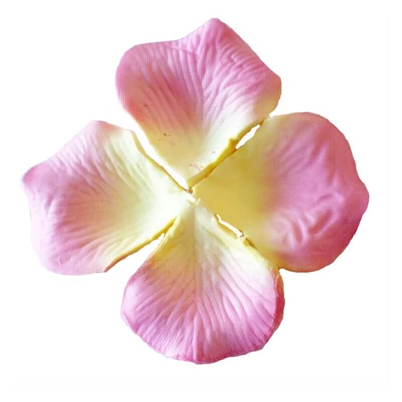 Petali color rosa chiaro