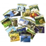 Puzzle economici