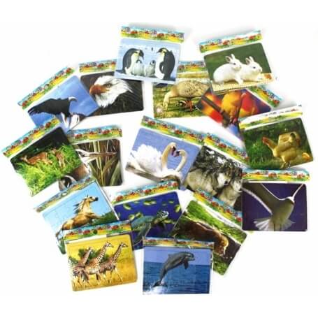 Puzzle economici