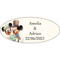 Adesivi di Topolino