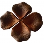 Petali color Marrone
