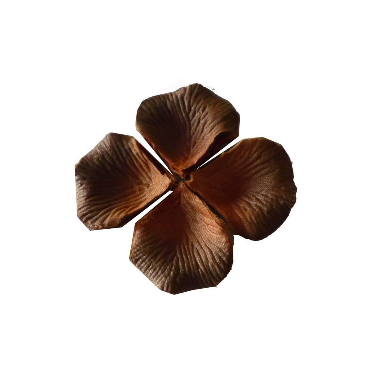 Petali color Marrone