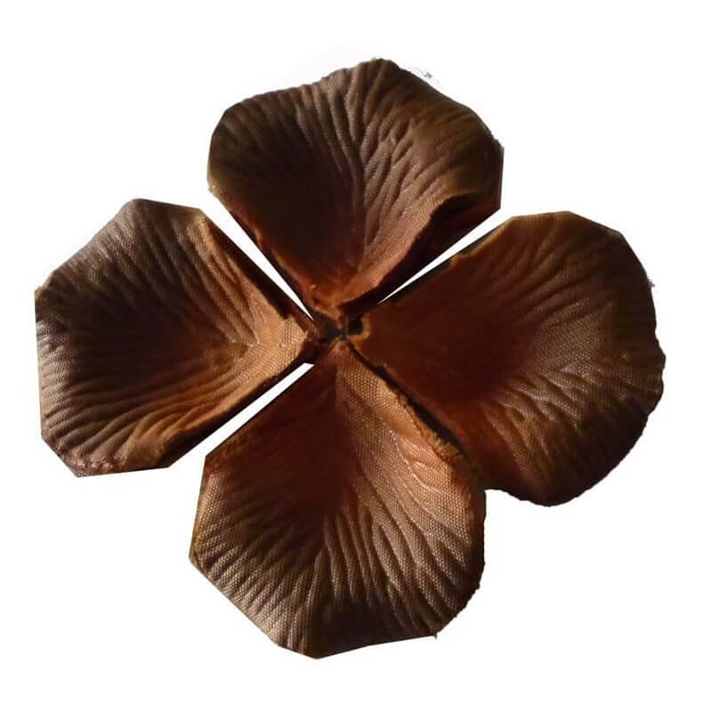Petali color Marrone