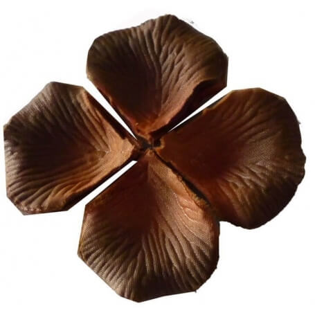 Petali di nozze al cioccolato