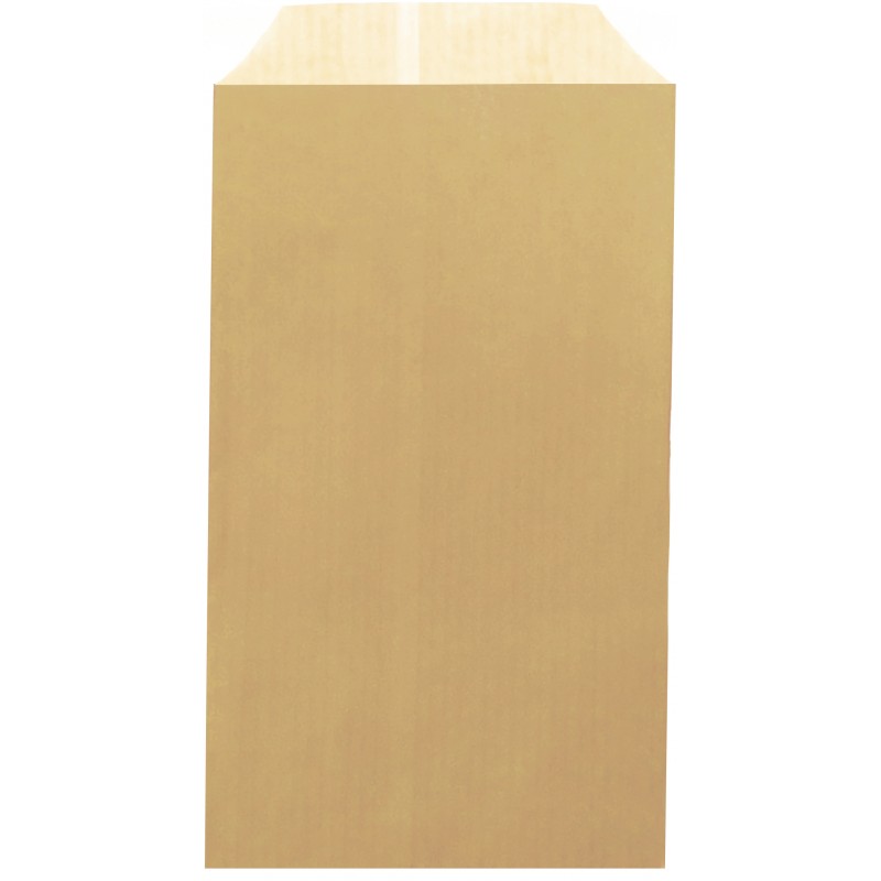 Busta in carta kraft marrone