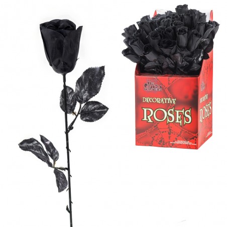 Rosa nero 4 x 4 x 43 cm