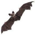 Pipistrello appeso 65 x 24 x 6 cm