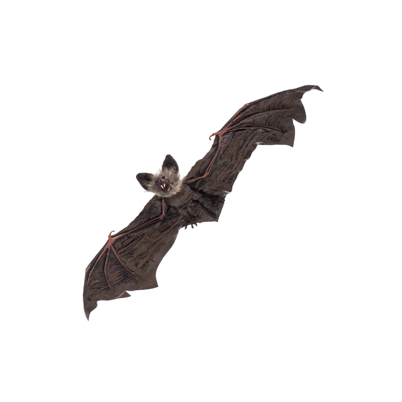 Pipistrello appeso 65 x 24 x 6 cm