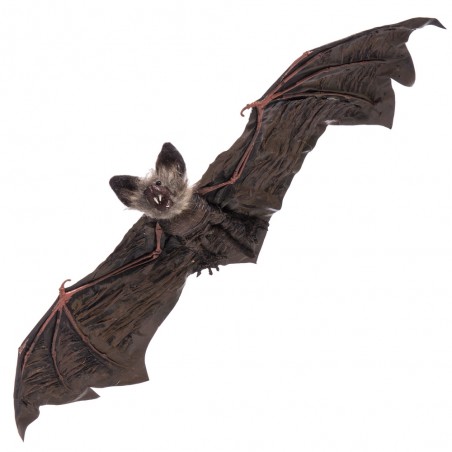 Pipistrello appeso 65 x 24 x 6 cm