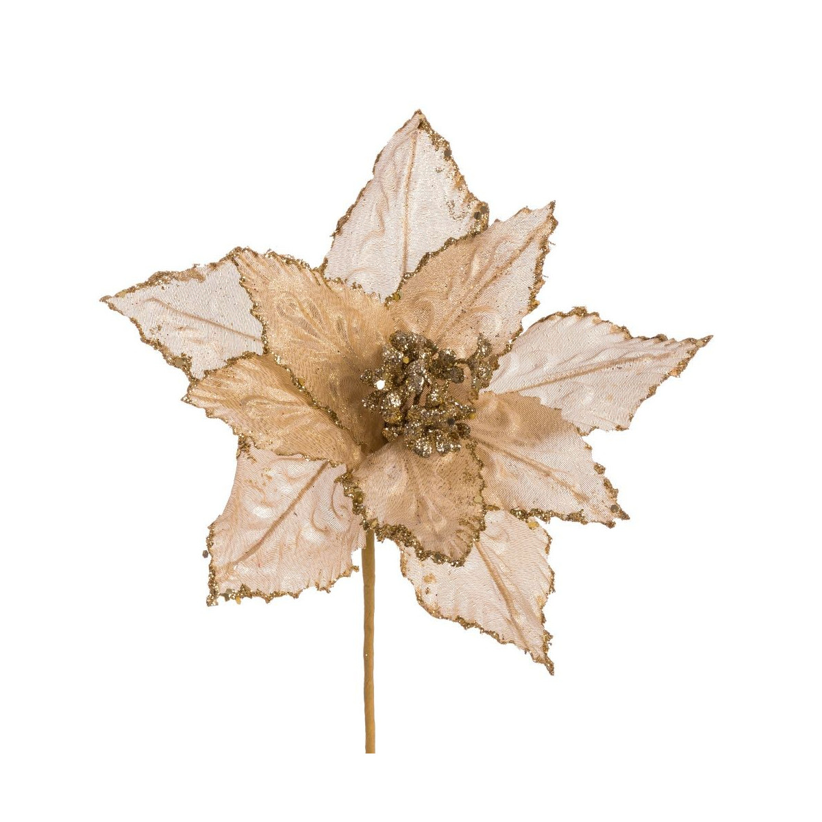 Poinsettia tessuto oro