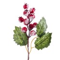 Pick agrifoglio con foglie rosse 16 cm