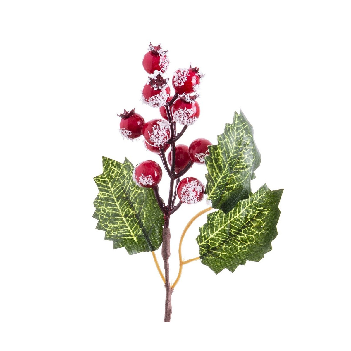 Pick agrifoglio con foglie rosse 16 cm