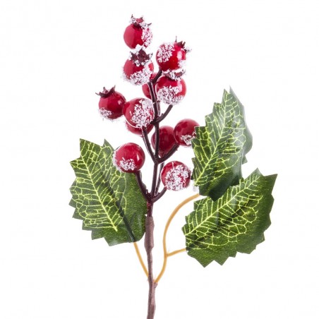 Pick agrifoglio con foglie rosse 16 cm
