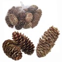 Busta 200 gr ananas medie oro