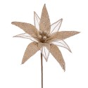 Fiore poinsettia tessuto champagne 30 x 65 cm