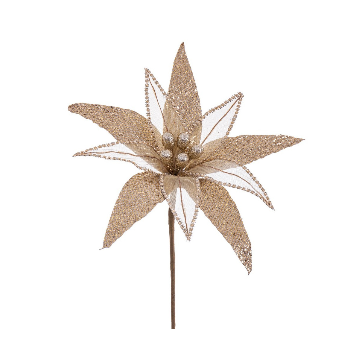 Fiore poinsettia tessuto champagne 30 x 65 cm
