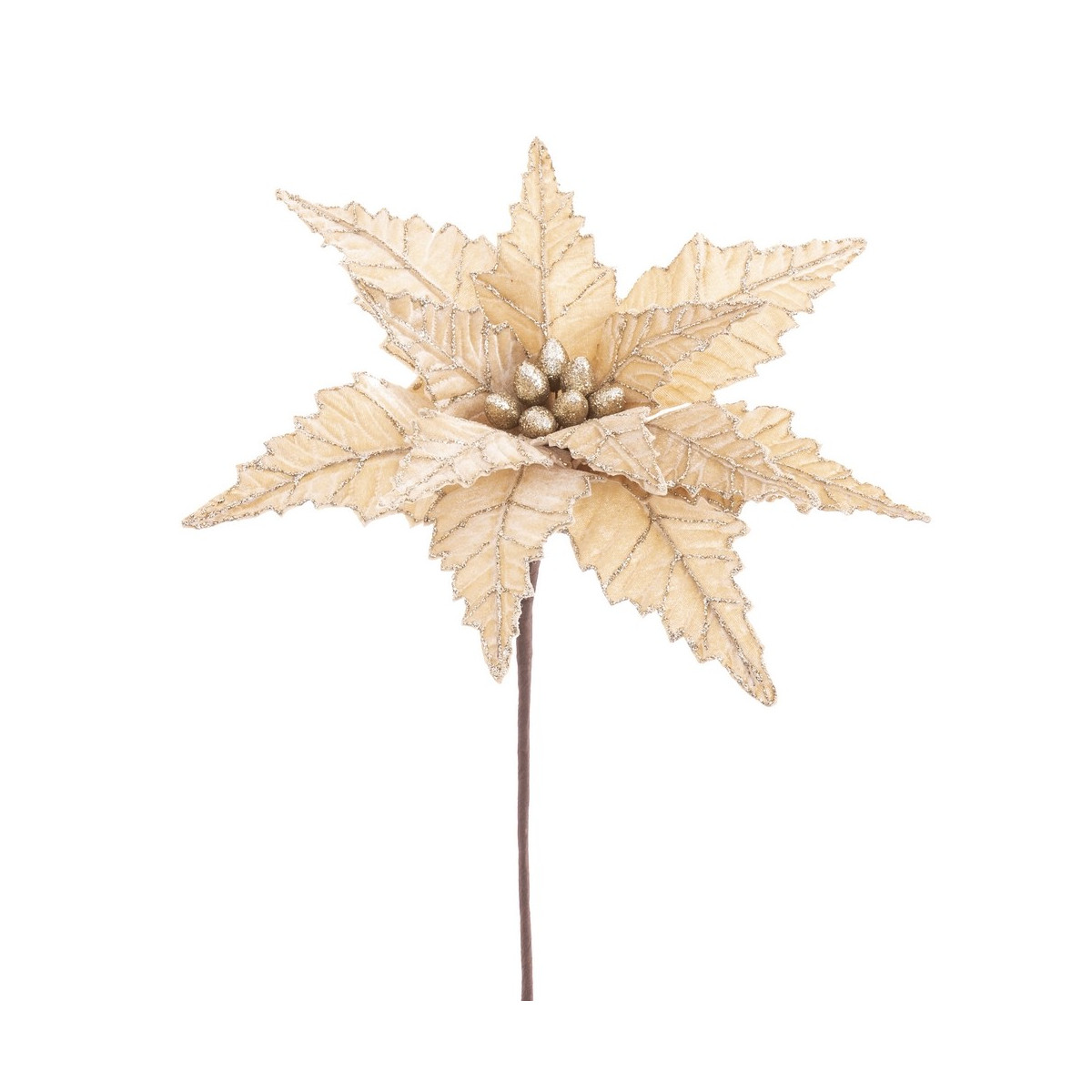Fiore poinsettia tessuto champagne 35 x 58 cm