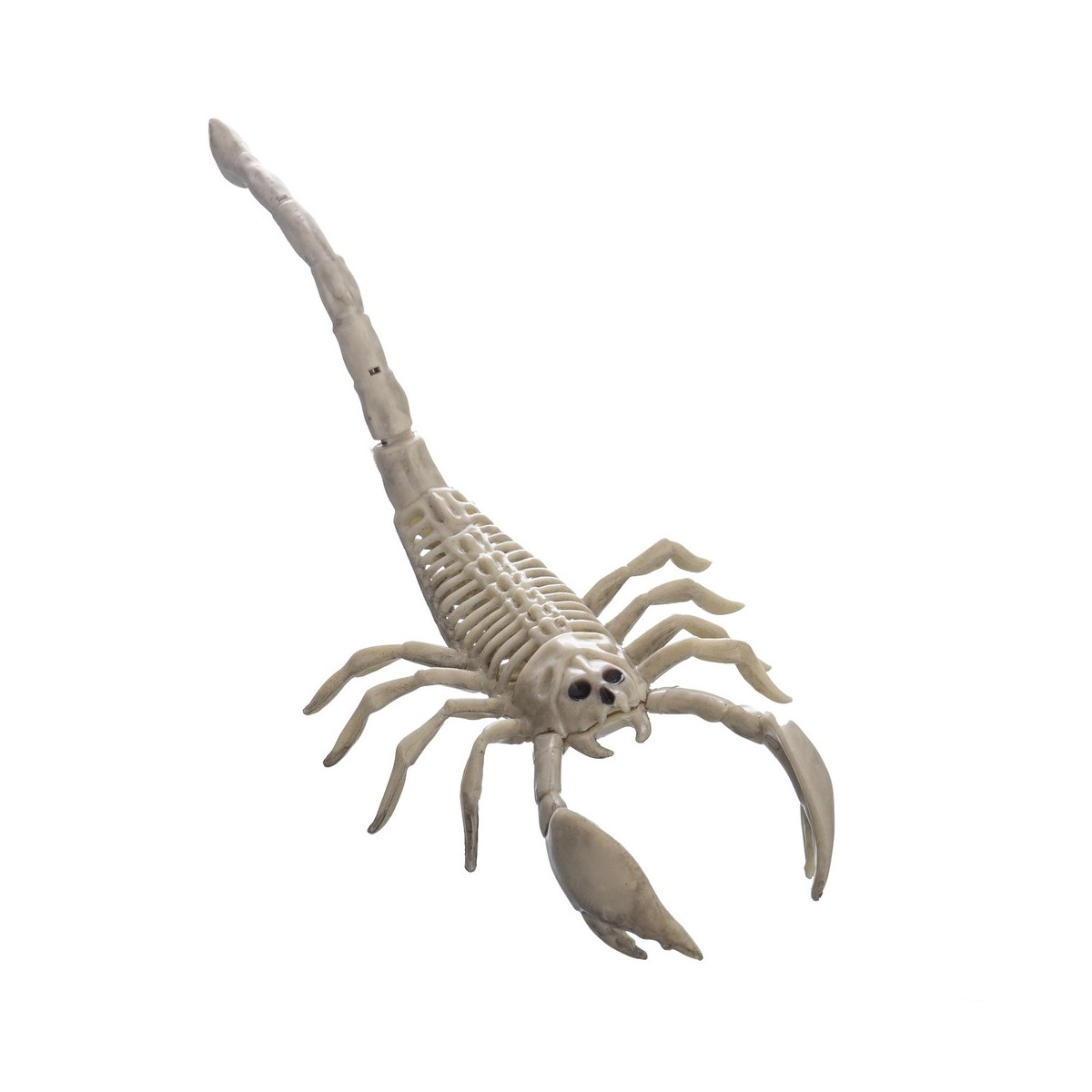 Scorpione ossa plastica 13 x 27 x 7 cm