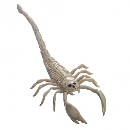 Scorpione ossa plastica 13 x 27 x 7 cm