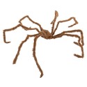 Ragno gigante marrone 150 x 160 x 18 cm