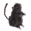 Ratto marrone 7 x 9 x 15 cm