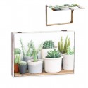 Coperchio contatore cactus