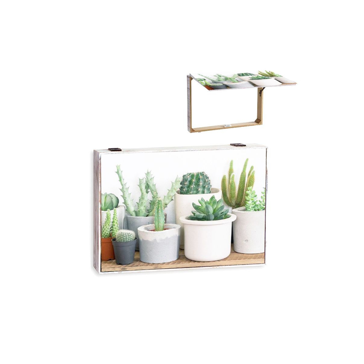 Coperchio contatore cactus