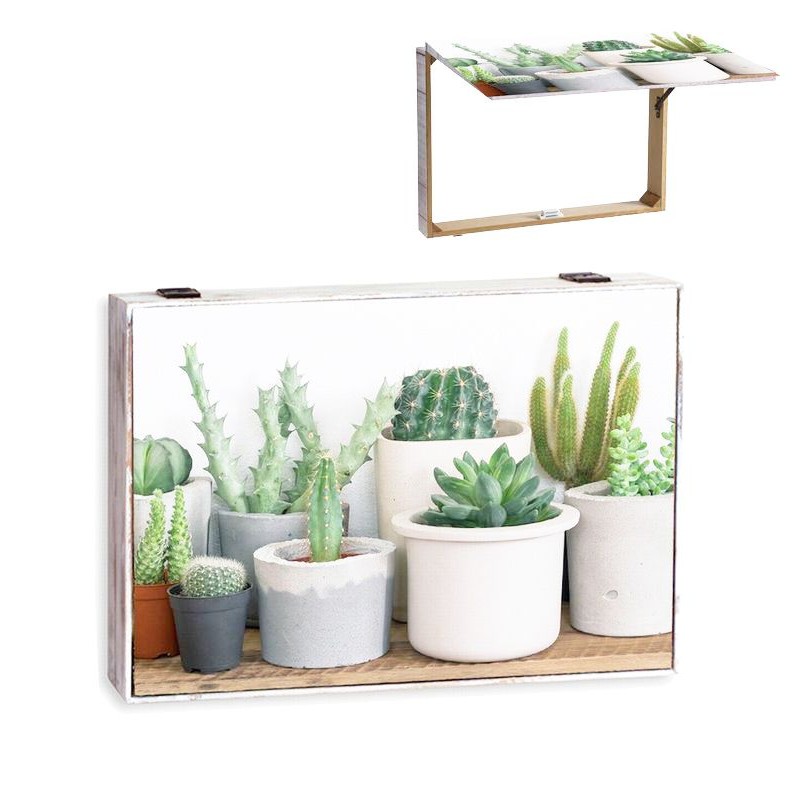 Coperchio contatore cactus