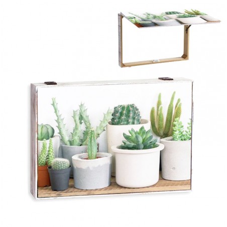 Coperchio contatore cactus