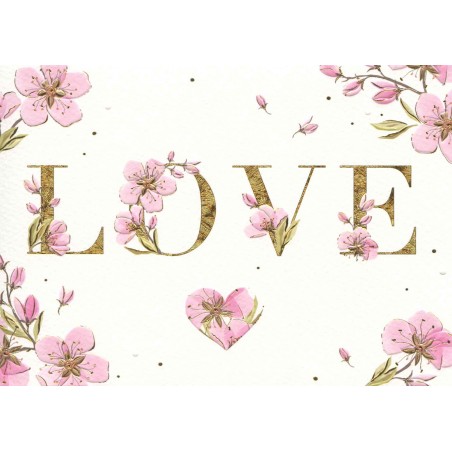 Postal turnowsky amore