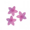 Fiori di ostia commestibili di colore rosa Decorazione per torte e dolci