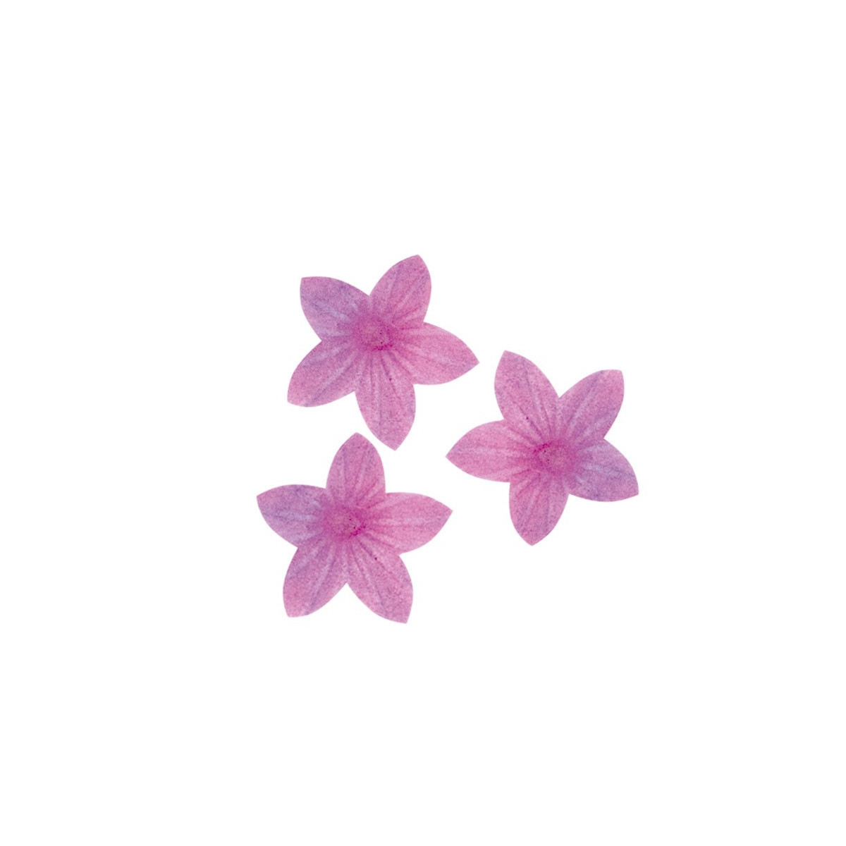 Fiori di ostia commestibili di colore rosa Decorazione per torte e dolci