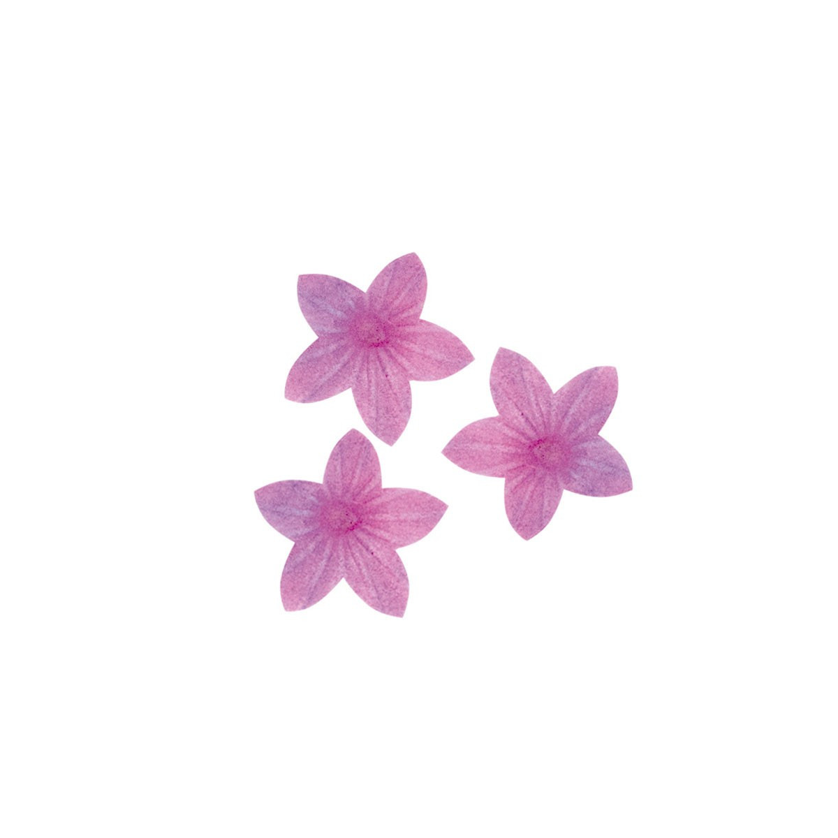 Ostia lilla viola 2cm