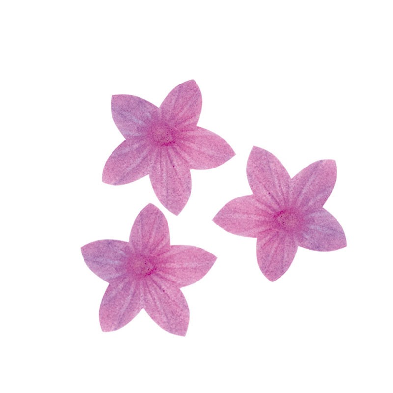 Fiori di ostia commestibili di colore rosa Decorazione per torte e dolci