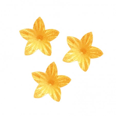 Fiori di ostia commestibili di colore giallo