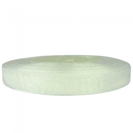 Cinta di organza bianca