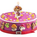 Candela 2d skye della pattuglia canina 7 5cm