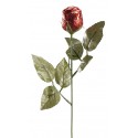 Rosa di cioccolato 20 grs