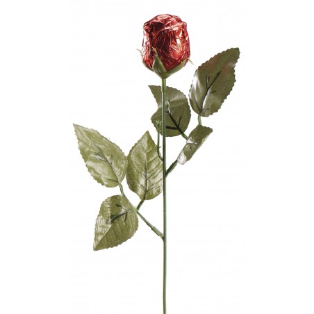 Rosa di cioccolato 20 grs