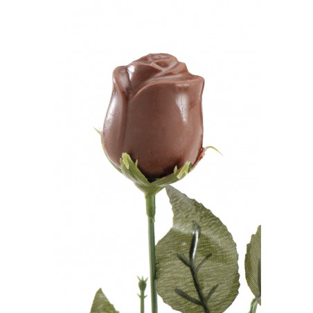 Rosa di cioccolato 20 grs