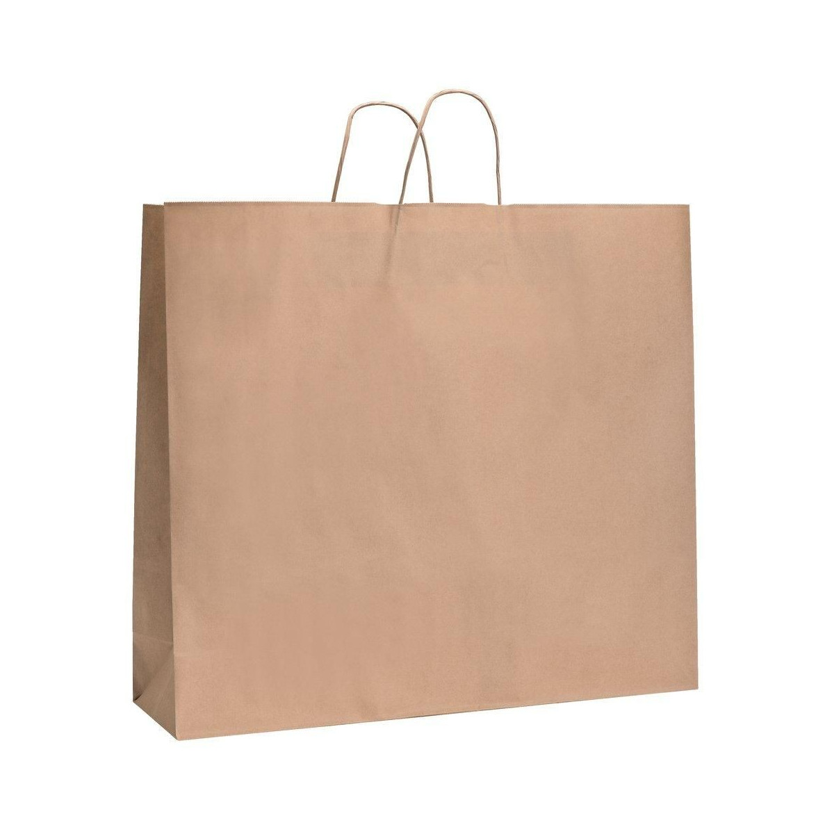Borsa kraft grande con manico arricciato