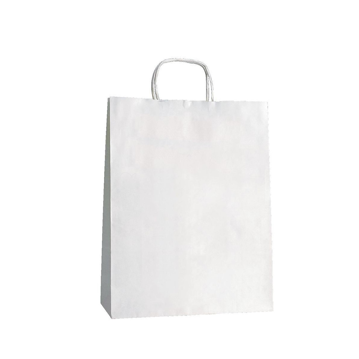 Borsa kraft bianca con manico riccio