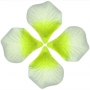 Bolsine petali