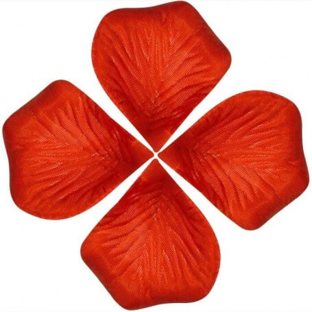 Borse Per Petali Di Nozze
