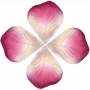 Petali per decorare